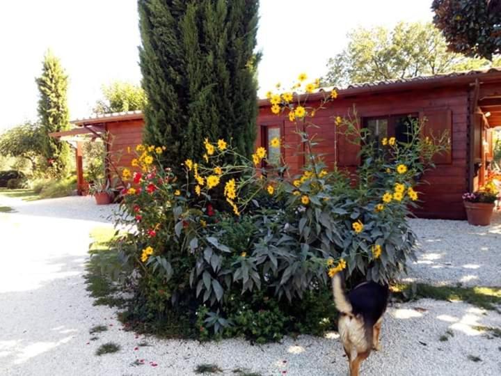 Il Casale Di Rosaria Hotel Zagarolo Exterior foto